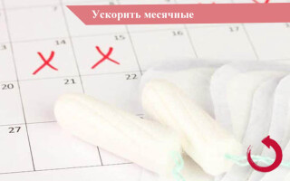 Как ускорить месячные форум