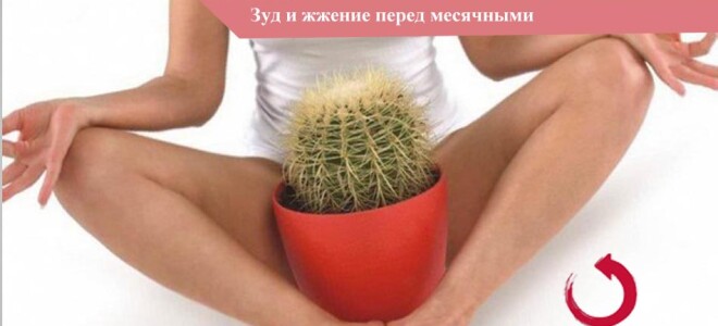 Зуд и жжение перед месячными: причины, лечение